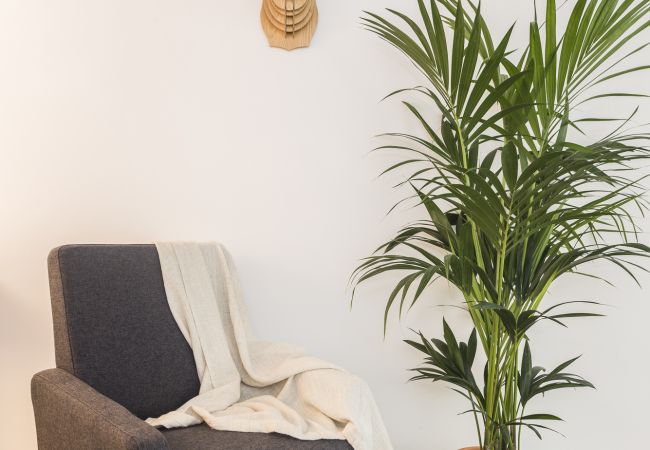 Apartamento en Madrid - Waou Plaza Mayor I - Alquiler Corta Duración Apartamento en Madrid - Waou Plaza Mayor I - Alquiler Corta Duración