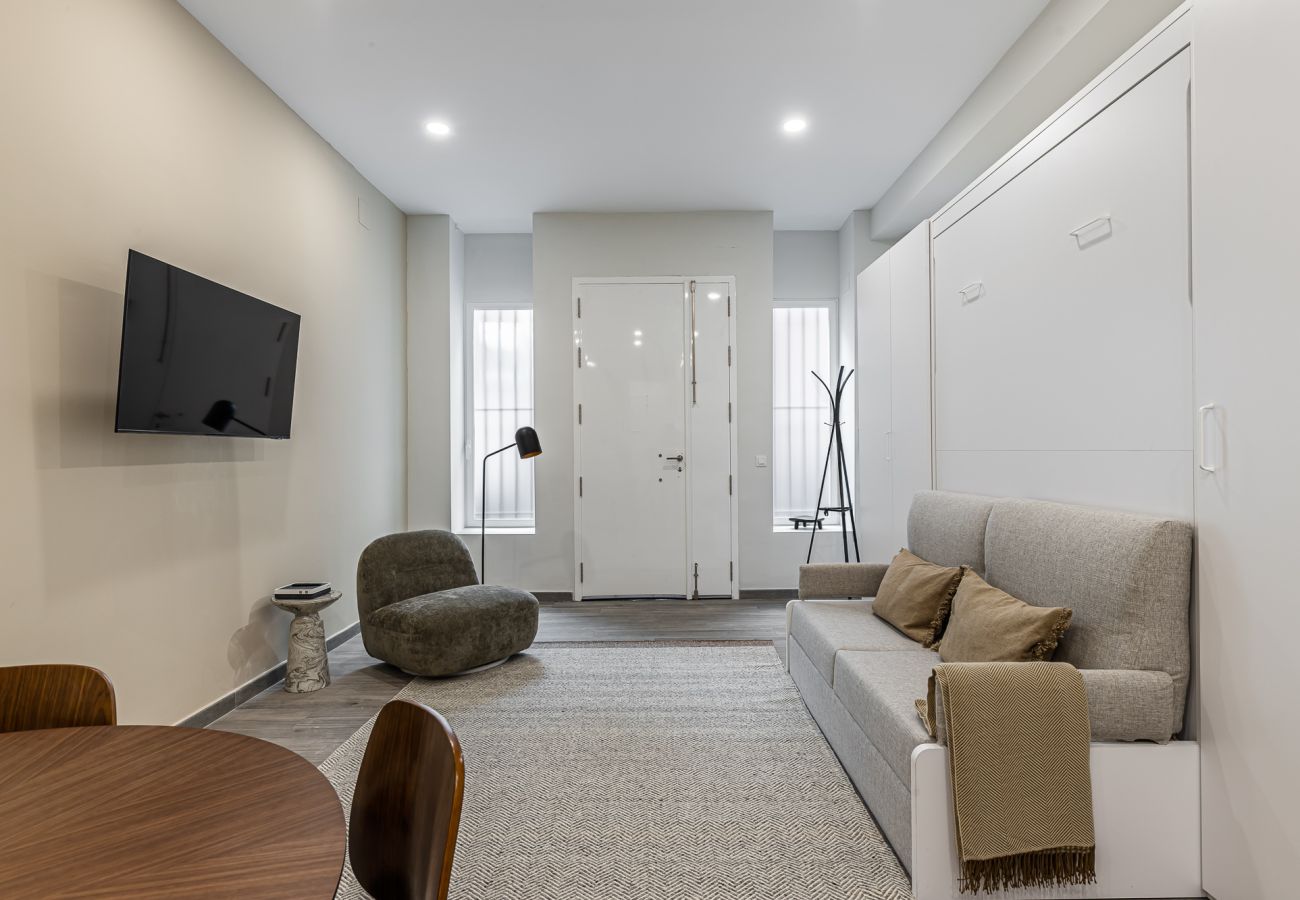 Estudio en Sevilla - Waou Museo Bellas Artes Sevilla Estudio en Sevilla - Waou Museo Bellas Artes Sevilla