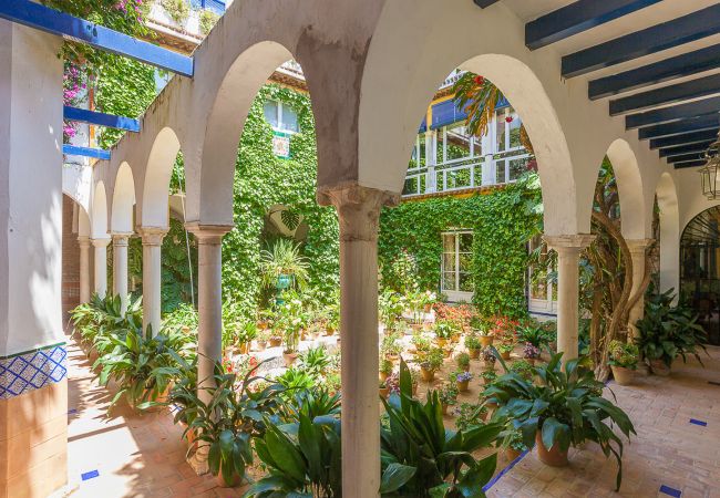 Alquiler por habitaciones en Sevilla - Waou Palacio Tenorio Santa Cruz I Alquiler por habitaciones en Sevilla - Waou Palacio Tenorio Santa Cruz I
