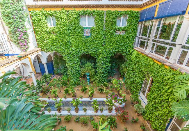 Alquiler por habitaciones en Sevilla - Waou Palacio Tenorio Santa Cruz III Alquiler por habitaciones en Sevilla - Waou Palacio Tenorio Santa Cruz III