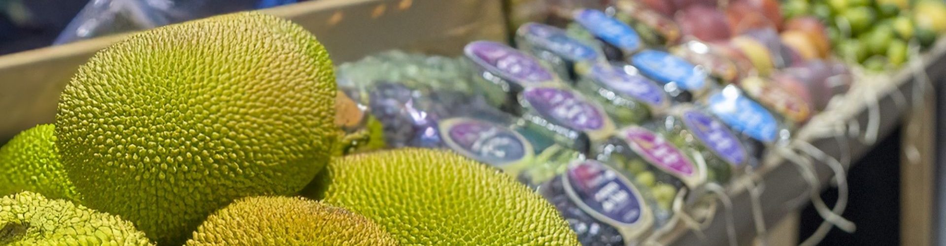Madrid Fruit Attraction ifema 2025