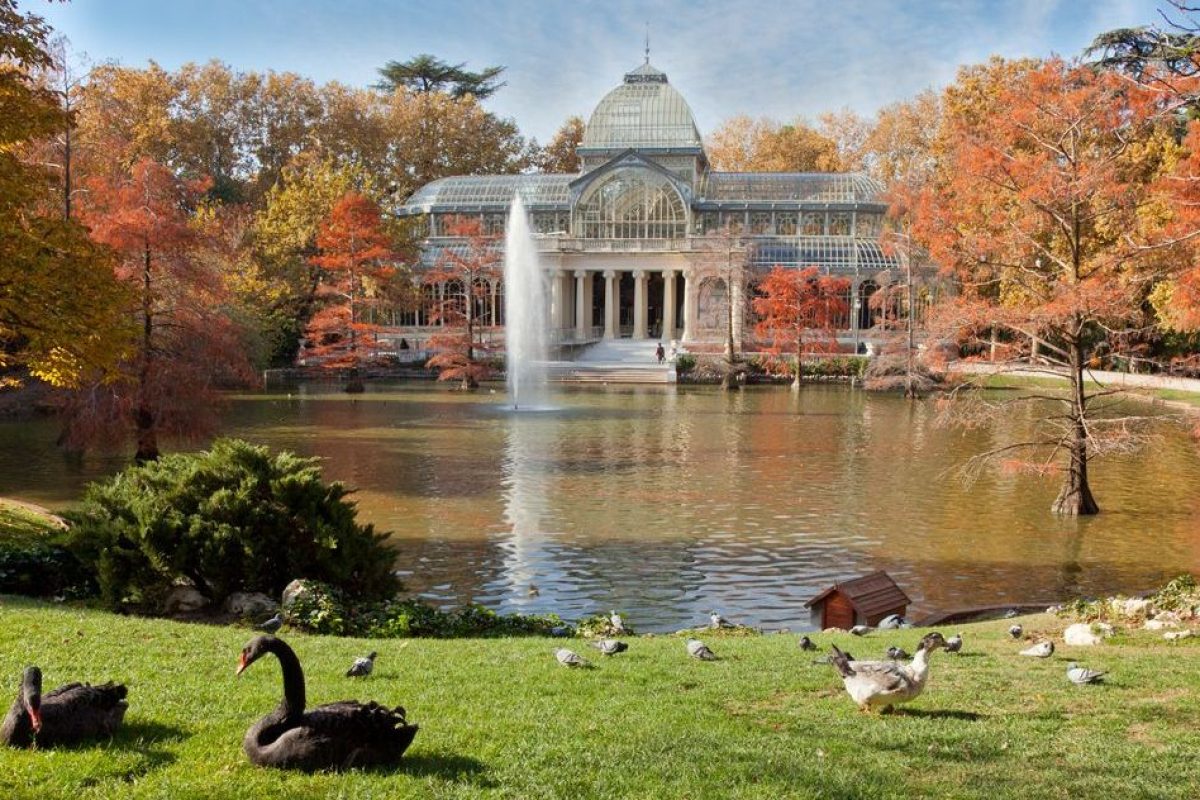 palacio-de-cristal-Madrid-Retiro.jpg