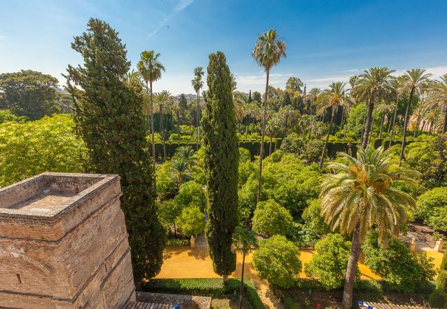 Rent by room in Seville - Waou Palacio Tenorio Santa Cruz I Rent by room in Seville - Waou Palacio Tenorio Santa Cruz I