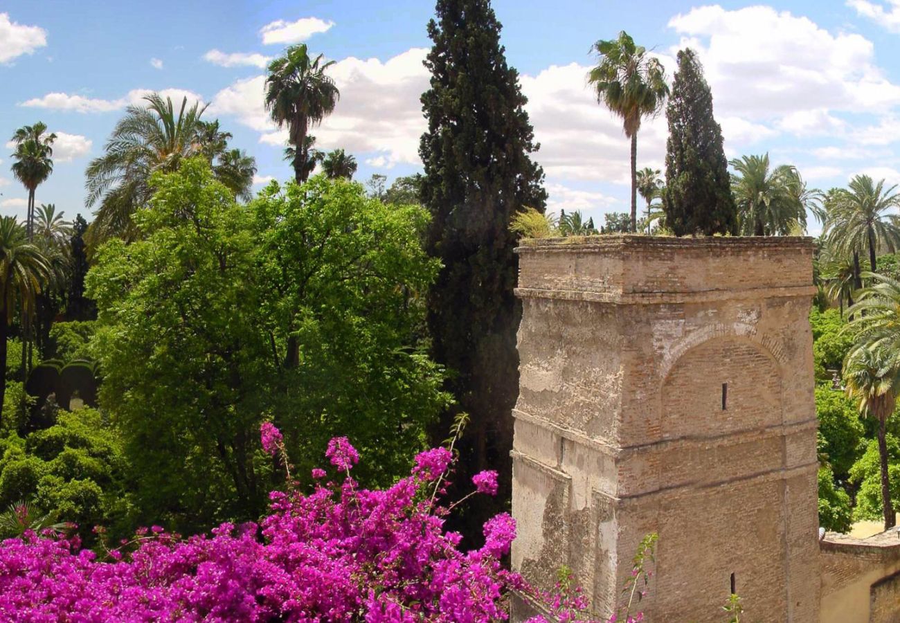 Rent by room in Seville - Waou Palacio Tenorio Santa Cruz II Rent by room in Seville - Waou Palacio Tenorio Santa Cruz II