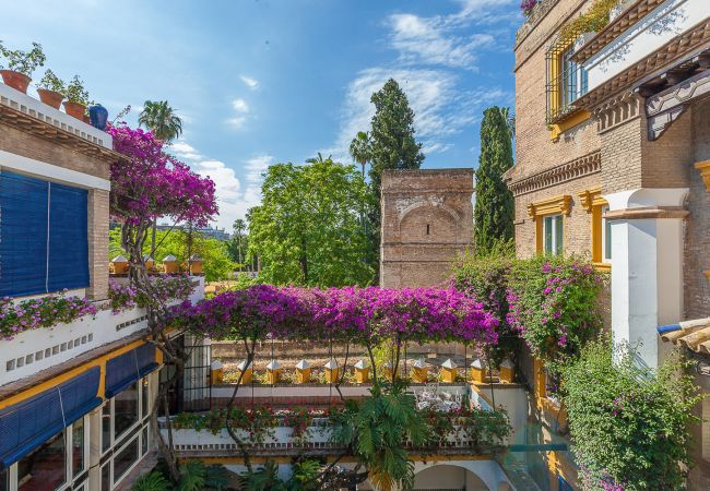 Rent by room in Seville - Waou Palacio Tenorio Santa Cruz VI Rent by room in Seville - Waou Palacio Tenorio Santa Cruz VI