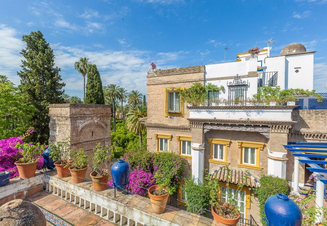 Rent by room in Seville - Waou Palacio Tenorio Santa Cruz VI Rent by room in Seville - Waou Palacio Tenorio Santa Cruz VI
