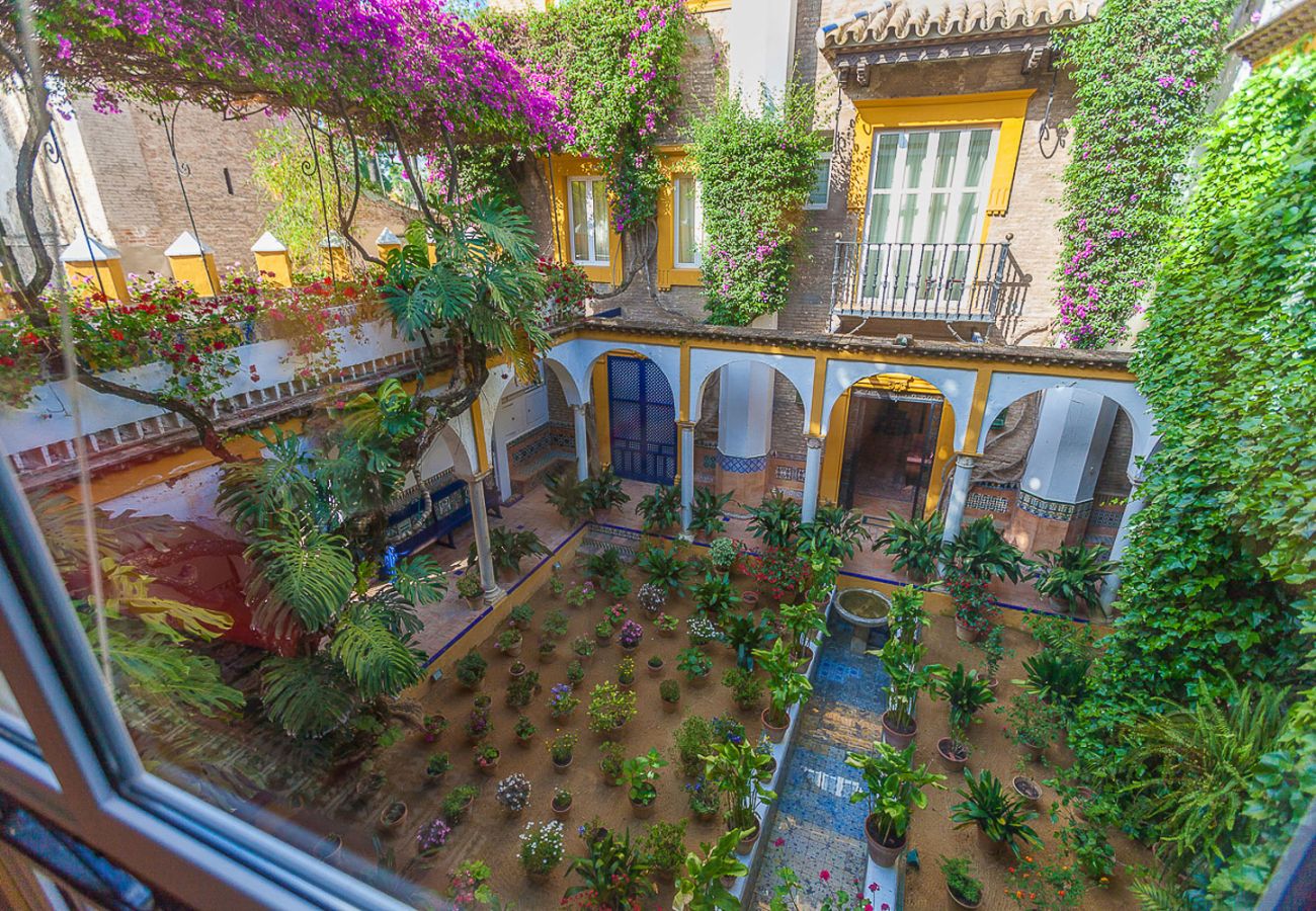 Rent by room in Seville - Waou Palacio Tenorio Santa Cruz VI Rent by room in Seville - Waou Palacio Tenorio Santa Cruz VI