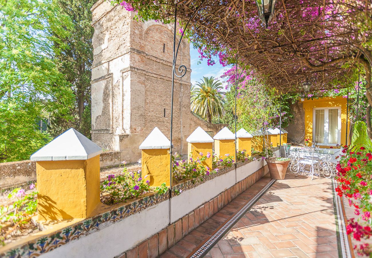 Rent by room in Seville - Waou Palacio Tenorio Santa Cruz VI Rent by room in Seville - Waou Palacio Tenorio Santa Cruz VI