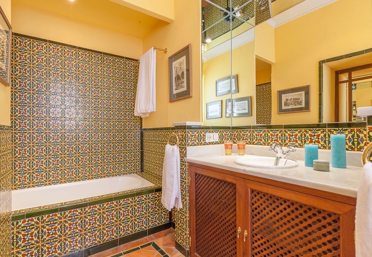 Rent by room in Seville - Waou Palacio Tenorio Santa Cruz VII Rent by room in Seville - Waou Palacio Tenorio Santa Cruz VII